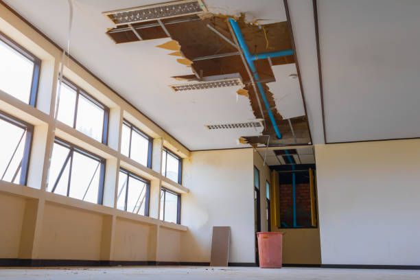 Best Water damage cleanup near me  in Simmesport, LA