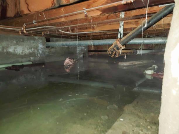 Best Ceiling water damage repair  in Simmesport, LA