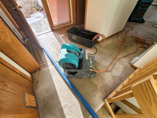 Best Commercial water damage restoration  in Simmesport, LA