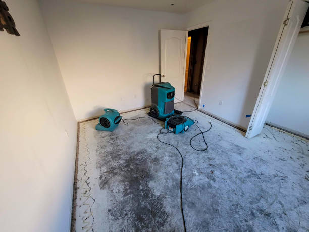 Best Water damage contractors near me  in Simmesport, LA