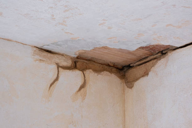 Best Water damage restoration near me  in Simmesport, LA