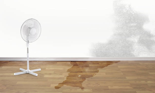 Best Water damage restoration near me  in Simmesport, LA