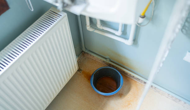 Best Water damage cleanup near me  in Simmesport, LA