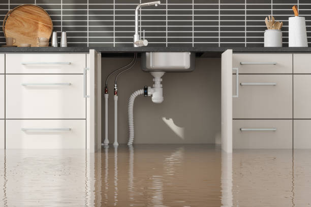 Best Mold removal after water damage  in Simmesport, LA